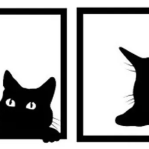 enfeite gato