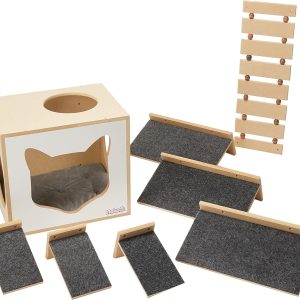 play cat